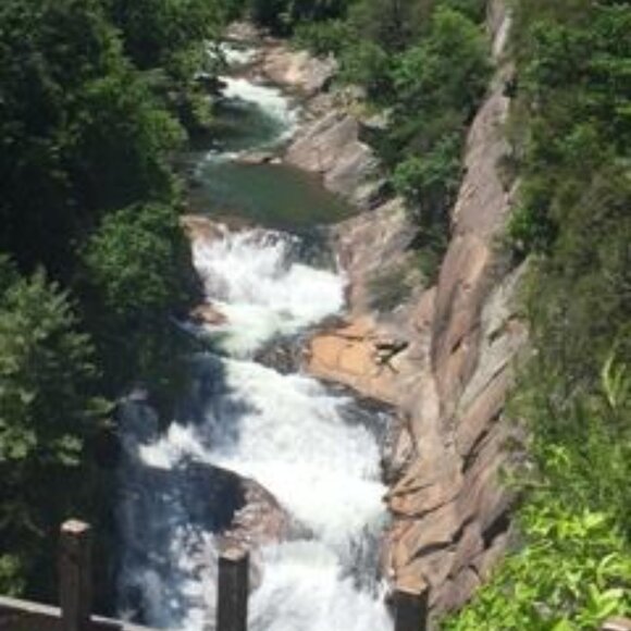 Meet your Posher - Picture 14 of 16